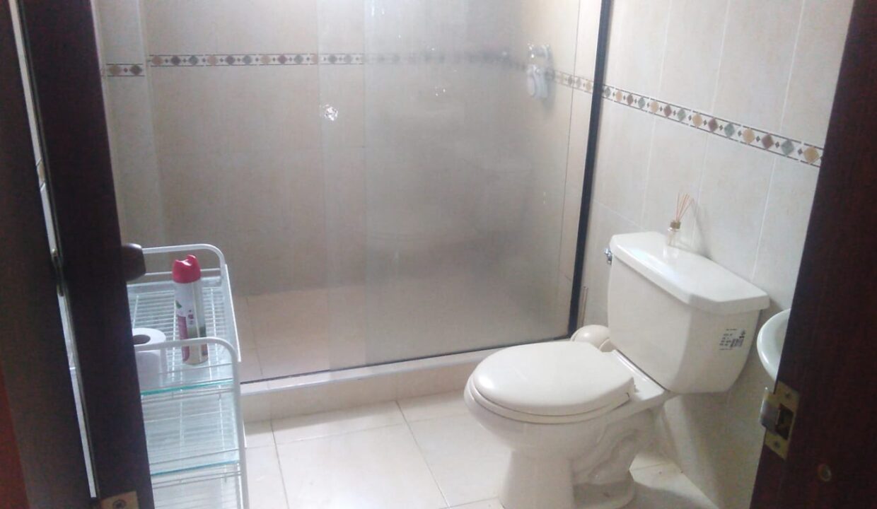 enchanting-estate-in-the-coffee-triangle-for-sale-toilet